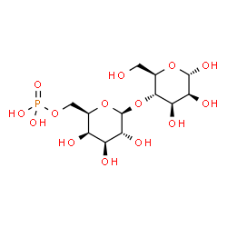 ChemSpider 2D Image | beta-D-Galp6P-(1->4)-alpha-D-Manp | C12H23O14P