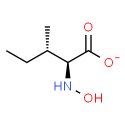 ChemSpider 2D Image | (2S,3S)-2-(Hydroxyamino)-3-methylpentanoate | C6H12NO3