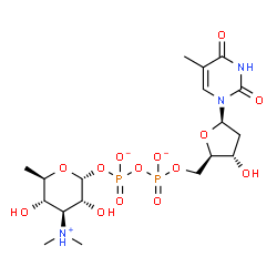 ChemSpider 2D Image | [(2R,3R,4S,5S,6R)-4-(dimethylammonio)-3,5-dihydroxy-6-methyl-tetrahydropyran-2-yl] [[(2R,3S,5R)-3-hydroxy-5-(5-methyl-2,4-dioxo-pyrimidin-1-yl)tetrahydrofuran-2-yl]methoxy-oxido-phosphoryl] phosphate | C18H30N3O14P2