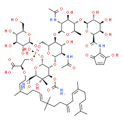 ChemSpider 2D Image | (2R)-3-{[(S)-{[(2R,3R,4R,5S,6S)-3-{[(2S,3R,4R,5S,6R)-3-Acetamido-5-{[(2S,3R,4R,5S,6R)-3-acetamido-4-hydroxy-6-methyl-5-({(2R,3R,4S,5R,6S)-3,4,5-trihydroxy-6-[(2-hydroxy-5-oxo-1,3-cyclopentadien-1-yl)c
arbamoyl]tetrahydro-2H-pyran-2-yl}oxy)tetrahydro-2H-pyran-2-yl]oxy}-4-hydroxy-6-({[(2R,3R,4S,5S,6R)-3,4,5-trihydroxy-6-(hydroxymethyl)tetrahydro-2H-pyran-2-yl]oxy}methyl)tetrahydro-2H-pyran-2-yl]oxy}-
6-carbamoyl-4-(carbamoyloxy)-5-hydroxy-5-methyltetrahydro-2H-pyran-2-yl]oxy}(hydroxy)phosphoryl]oxy}-2-{[(2Z,6E,13Z)-3,8,8,14,18-pentamethyl-11-methylene-2,6,13,17-nonadecatetraen-1-yl]oxy}propanoic a
cid (non-preferred name) | C69H106N5O34P