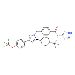 ChemSpider 2D Image | 4-({5-[trans-4-(2-Methyl-2-propanyl)cyclohexyl]-3-[4-(trifluoromethoxy)phenyl]-1H-pyrazol-1-yl}methyl)-N-(1H-tetrazol-5-yl)benzamide | C29H32F3N7O2