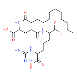 ChemSpider 2D Image | 2-Carbamimidamido-6-[(N-dodecanoyl-D-gamma-glutamyl)amino]heptanedioic acid | C25H45N5O8