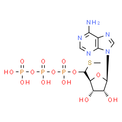 ChemSpider 2D Image | [[[(2S,3S,4R,5R)-5-(6-aminopurin-9-yl)-3,4-dihydroxy-tetrahydrofuran-2-yl]-methylsulfanyl-methoxy]-hydroxy-phosphoryl] phosphono hydrogen phosphate | C11H18N5O13P3S