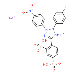 ChemSpider 2D Image | 1H-Tetrazolium, 5-(2,4-disulfophenyl)-2,3-dihydro-2-(4-iodophenyl)-3-(4-nitrophenyl)-, sodium salt (1:1) | C19H15IN5NaO8S2