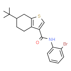 ChemSpider 2D Image | N-(2-Bromophenyl)-6-(2-methyl-2-propanyl)-4,5,6,7-tetrahydro-1-benzothiophene-3-carboxamide | C19H22BrNOS