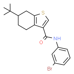 ChemSpider 2D Image | N-(3-Bromophenyl)-6-(2-methyl-2-propanyl)-4,5,6,7-tetrahydro-1-benzothiophene-3-carboxamide | C19H22BrNOS