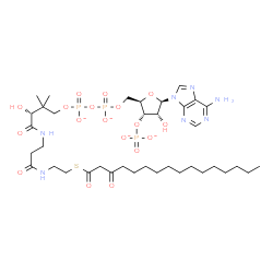 ChemSpider 2D Image | 3-oxopalmitoyl-CoA(4-) | C37H60N7O18P3S