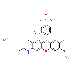 ChemSpider 2D Image | Sodium 4-[(3Z)-6-(ethylamino)-3-(ethyliminio)-2,7-dimethyl-3H-xanthen-9-yl]-1,3-benzenedisulfonate | C25H25N2NaO7S2