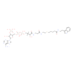 ChemSpider 2D Image | [5-(6-Amino-9H-purin-9-yl)-4-hydroxy-3-(phosphonooxy)tetrahydro-2-furanyl]methyl 18-hydroxy-1-(7aH-indol-3-yl)-19,19-dimethyl-4,13,17-trioxo-9-thia-3,12,16-triazaicosan-20-yl dihydrogen diphosphate (n
on-preferred name) | C36H54N9O17P3S