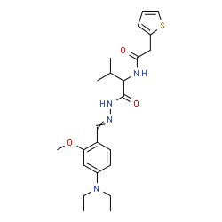 ChemSpider 2D Image | N-(1-{2-[4-(Diethylamino)-2-methoxybenzylidene]hydrazino}-3-methyl-1-oxo-2-butanyl)-2-(2-thienyl)acetamide | C23H32N4O3S