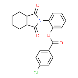 ChemSpider 2D Image | 2-(1,3-dioxo-hexahydroisoindol-2-yl)phenyl 4-chlorobenzoate | C21H18ClNO4