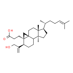 ChemSpider 2D Image | 3-[(1R,3aS,6R,6aR,7aS,9aR)-6-(3-Hydroxy-1-propen-2-yl)-3a,9a-dimethyl-1-[(2R)-6-methyl-5-hepten-2-yl]decahydro-1H-cyclopenta[a]cyclopropa[e]naphthalen-6a(7H)-yl]propanoic acid | C30H48O3