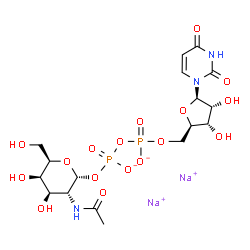 ChemSpider 2D Image | disodium [(2R,3R,4R,5R,6R)-3-acetamido-4,5-dihydroxy-6-(hydroxymethyl)tetrahydropyran-2-yl] [[(2R,3S,4R,5R)-5-(2,4-dioxopyrimidin-1-yl)-3,4-dihydroxy-tetrahydrofuran-2-yl]methoxy-oxido-phosphoryl] phosphate | C17H25N3Na2O17P2