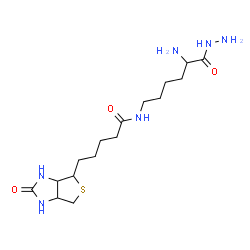 ChemSpider 2D Image | N-(5-Amino-6-hydrazino-6-oxohexyl)-5-(2-oxohexahydro-1H-thieno[3,4-d]imidazol-4-yl)pentanamide | C16H30N6O3S