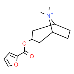 ChemSpider 2D Image | 3-(2-Furoyloxy)-8,8-dimethyl-8-azoniabicyclo[3.2.1]octane | C14H20NO3