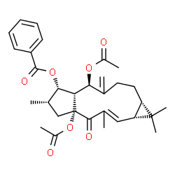 ChemSpider 2D Image | (1aR,4aR,6S,7S,7aR,8R,11aS)-4a,8-Diacetoxy-1,1,3,6-tetramethyl-9-methylene-4-oxo-1a,4,4a,5,6,7,7a,8,9,10,11,11a-dodecahydro-1H-cyclopenta[a]cyclopropa[f][11]annulen-7-yl benzoate | C31H38O7
