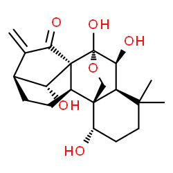 ChemSpider 2D Image | (1alpha,6beta,7alpha,13alpha,14R)-1,6,7,14-Tetrahydroxy-7,20-epoxykaur-16-en-15-one | C20H28O6
