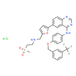 ChemSpider 2D Image | 6-[5-({[2-(Methylsulfonyl)ethyl]amino}methyl)-2-furyl]-N-(4-{[3-(trifluoromethyl)benzyl]oxy}phenyl)-4-quinazolinamine hydrochloride (1:1) | C30H28ClF3N4O4S