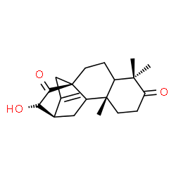 ChemSpider 2D Image | (5beta,9beta)-13-Hydroxyatis-16-ene-3,14-dione | C20H28O3
