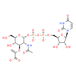 ChemSpider 2D Image | 2-{[(2R,3R,4R,5S,6R)-3-Acetamido-2-({[({[(2R,3S,4R,5R)-5-(2,4-dioxo-3,4-dihydro-1(2H)-pyrimidinyl)-3,4-dihydroxytetrahydro-2-furanyl]methoxy}phosphinato)oxy]phosphinato}oxy)-5-hydroxy-6-(hydroxymethyl
)tetrahydro-2H-pyran-4-yl]oxy}acrylate | C20H26N3O19P2