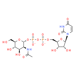 ChemSpider 2D Image | [(2R,3S,4R,5S,6R)-3-acetamido-4,5-dihydroxy-6-(hydroxymethyl)tetrahydropyran-2-yl] [[(2R,3S,4R,5R)-5-(2,4-dioxopyrimidin-1-yl)-3,4-dihydroxy-tetrahydrofuran-2-yl]methoxy-oxido-phosphoryl] phosphate | C17H25N3O17P2