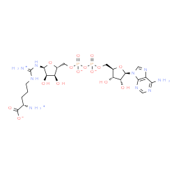 ChemSpider 2D Image | (2S)-5-{[({(2S,3R,4S,5R)-5-[({[({[(2R,3S,4R,5R)-5-(6-Amino-9H-purin-9-yl)-3,4-dihydroxytetrahydro-2-furanyl]methoxy}phosphinato)oxy]phosphinato}oxy)methyl]-3,4-dihydroxytetrahydro-2-furanyl}amino)(amm
onio)methylene]amino}-2-ammoniopentanoate | C21H34N9O15P2