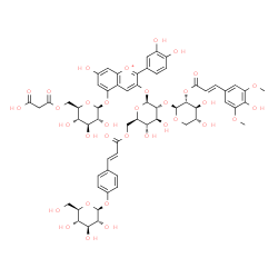 ChemSpider 2D Image | 5-{[6-O-(Carboxyacetyl)-beta-D-glucopyranosyl]oxy}-2-(3,4-dihydroxyphenyl)-7-hydroxy-3-chromeniumyl 6-O-{(2E)-3-[4-(beta-D-glucopyranosyloxy)phenyl]-2-propenoyl}-2-O-{2-O-[(2E)-3-(4-hydroxy-3,5-dimeth
oxyphenyl)-2-propenoyl]-beta-D-xylopyranosyl}-beta-D-glucopyranoside | C61H67O34