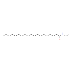 ChemSpider 2D Image | N-Isopropylnonadecanamide | C22H45NO