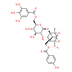 ChemSpider 2D Image | [(1R,2S,3R,5R,6R,8S)-6-Methoxy-8-methyl-3-{[6-O-(3,4,5-trihydroxybenzoyl)-beta-D-glucopyranosyl]oxy}-9,10-dioxatetracyclo[4.3.1.0~2,5~.0~3,8~]dec-2-yl]methyl 4-hydroxybenzoate | C31H34O16