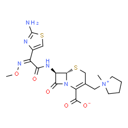 ChemSpider 2D Image | (6S,7R)-7-{[(2Z)-2-(2-Amino-1,3-thiazol-4-yl)-2-(methoxyimino)acetyl]amino}-3-[(1-methyl-1-pyrrolidiniumyl)methyl]-8-oxo-5-thia-1-azabicyclo[4.2.0]oct-2-ene-2-carboxylate | C19H24N6O5S2