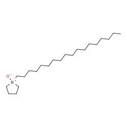 ChemSpider 2D Image | 1-Octadecylpyrrolidine 1-oxide | C22H45NO