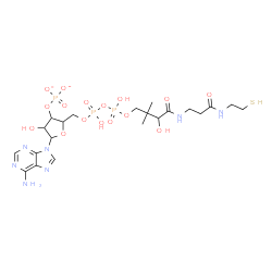 ChemSpider 2D Image | 5-(6-Amino-9H-purin-9-yl)-4-hydroxy-2-(3,5,9-trihydroxy-8,8-dimethyl-3,5-dioxido-10,14-dioxo-17-sulfanyl-2,4,6-trioxa-11,15-diaza-3lambda~5~,5lambda~5~-diphosphaheptadec-1-yl)tetrahydro-3-furanyl phos
phate | C21H34N7O16P3S
