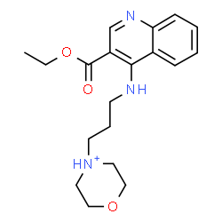 ChemSpider 2D Image | 4-(3-{[3-(Ethoxycarbonyl)-4-quinolinyl]amino}propyl)morpholin-4-ium | C19H26N3O3