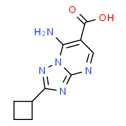 ChemSpider 2D Image | 7-amino-2-cyclobutyl-[1,2,4]triazolo[1,5-a]pyrimidine-6-carboxylic acid | C10H11N5O2
