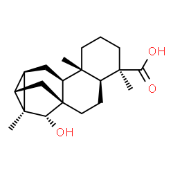 ChemSpider 2D Image | 15-Hydroxy-(-)-trachyloban-19-oic acid | C20H30O3