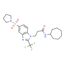 ChemSpider 2D Image | N-Cycloheptyl-3-[5-(1-pyrrolidinylsulfonyl)-2-(trifluoromethyl)-1H-benzimidazol-1-yl]propanamide | C22H29F3N4O3S
