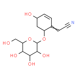 ChemSpider 2D Image | [6-(Hexopyranosyloxy)-4-hydroxy-2-cyclohexen-1-ylidene]acetonitrile | C14H19NO7