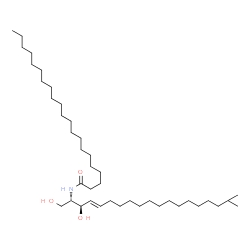 ChemSpider 2D Image | N-[(2S,3R,4E)-1,3-Dihydroxy-18-methyl-4-nonadecen-2-yl]henicosanamide | C41H81NO3