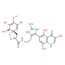 ChemSpider 2D Image | 2-Amino-4-[2-({[(5S,10R)-7,9-dibromo-10-hydroxy-8-methoxy-1-oxa-2-azaspiro[4.5]deca-2,6,8-trien-3-yl]carbonyl}amino)ethyl]-5-(3,5,8-trihydroxy-4-oxo-1,4-dihydro-6-quinolinyl)-1H-imidazol-1-ium | C24H23Br2N6O8
