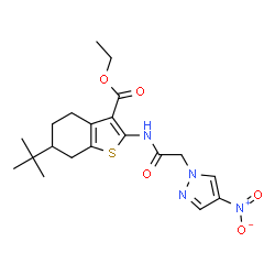 ChemSpider 2D Image | ethyl 6-tert-butyl-2-[2-(4-nitropyrazol-1-yl)acetamido]-4,5,6,7-tetrahydro-1-benzothiophene-3-carboxylate | C20H26N4O5S