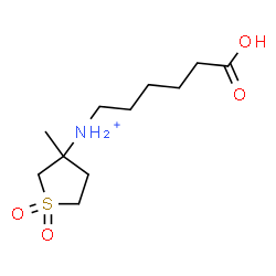 ChemSpider 2D Image | N-(5-Carboxypentyl)-3-methyltetrahydro-3-thiophenaminium 1,1-dioxide | C11H22NO4S