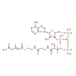 ChemSpider 2D Image | (9R,20E)-1-[(2R,3S,4R,5R)-5-(6-Amino-9H-purin-9-yl)-4-hydroxy-3-(phosphonooxy)tetrahydro-2-furanyl]-3,5,9-trihydroxy-8,8,21-trimethyl-10,14,19-trioxo-2,4,6-trioxa-18-thia-11,15-diaza-3,5-diphosphatric
os-20-en-23-oic acid 3,5-dioxide | C27H42N7O19P3S