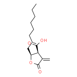 ChemSpider 2D Image | (2S,3S)-4-Methylene-2-octyl-5-oxotetrahydro-3-furancarboxylic acid | C14H22O4