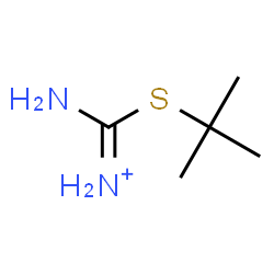 ChemSpider 2D Image | Amino[(2-methyl-2-propanyl)sulfanyl]methaniminium | C5H13N2S