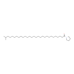 ChemSpider 2D Image | 28-Methyl-1-(1-pyrrolidinyl)-1-nonacosanone | C34H67NO