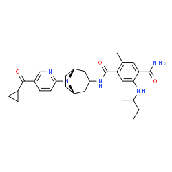 ChemSpider 2D Image | 5-(sec-Butylamino)-N-{(1R,5S)-8-[5-(cyclopropylcarbonyl)-2-pyridinyl]-8-azabicyclo[3.2.1]oct-3-yl}-2-methylterephthalamide | C29H37N5O3