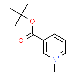 ChemSpider 2D Image | 1-Methyl-3-{[(2-methyl-2-propanyl)oxy]carbonyl}pyridinium | C11H16NO2