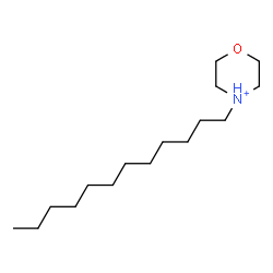 ChemSpider 2D Image | 4-Dodecylmorpholin-4-ium | C16H34NO