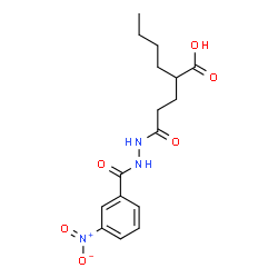 ChemSpider 2D Image | 2-{3-[2-(3-Nitrobenzoyl)hydrazino]-3-oxopropyl}hexanoic acid | C16H21N3O6