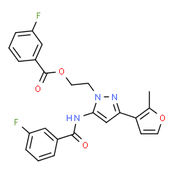 ChemSpider 2D Image | 2-{5-[(3-Fluorobenzoyl)amino]-3-(2-methyl-3-furyl)-1H-pyrazol-1-yl}ethyl 3-fluorobenzoate | C24H19F2N3O4